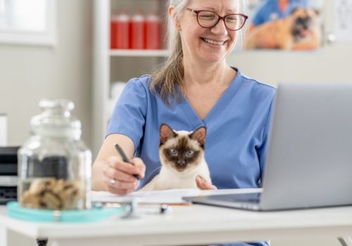 Gestora de clínica veterinária